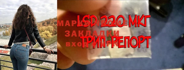 прущие грибы Лагань