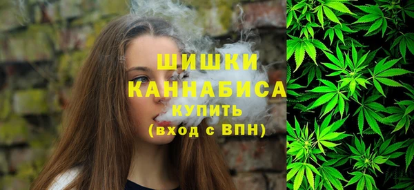 прущие грибы Лагань