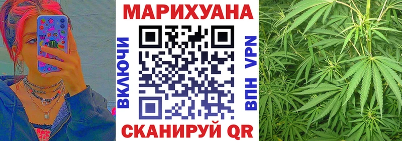Бошки Шишки сатива Медвежьегорск